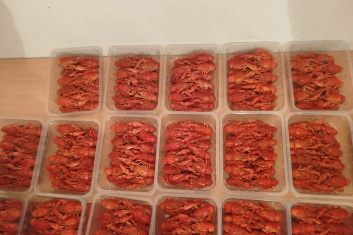 Продаж вареноморожених раків оптом- фото № 7