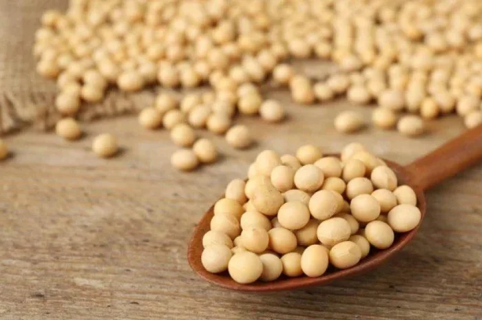 Куплю СОЮ (НЕ ГМО) з місця. 2 форма- фото № 1