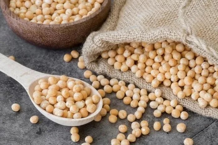 Цікавить СОЯ НЕ ГМО від виробника- фото № 1