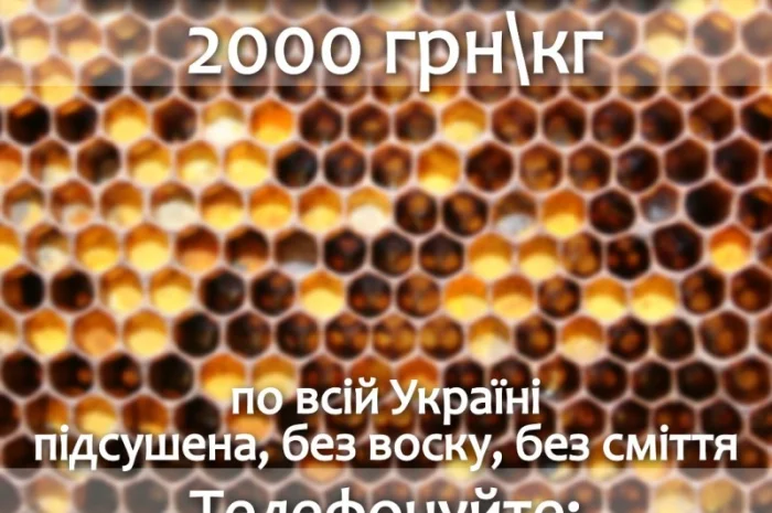 Перга – покупаем оптом- фото № 1