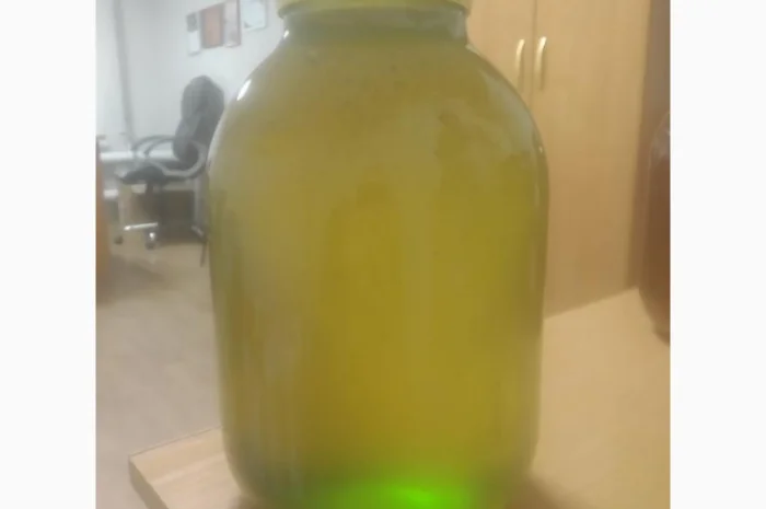 Закупаем мед различных сортов оптом- фото № 1