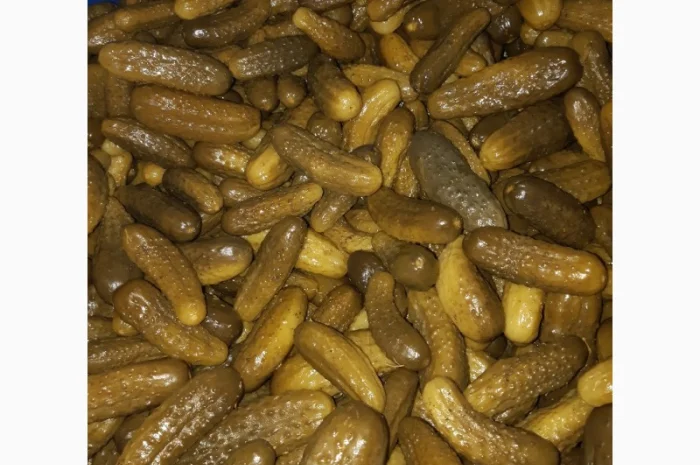 Грунтовые квашеные огурцы- фото № 1