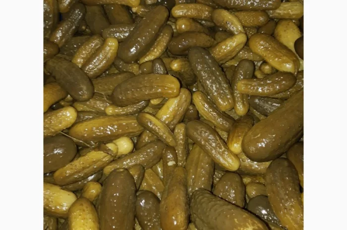 Грунтовые квашеные огурцы- фото № 2