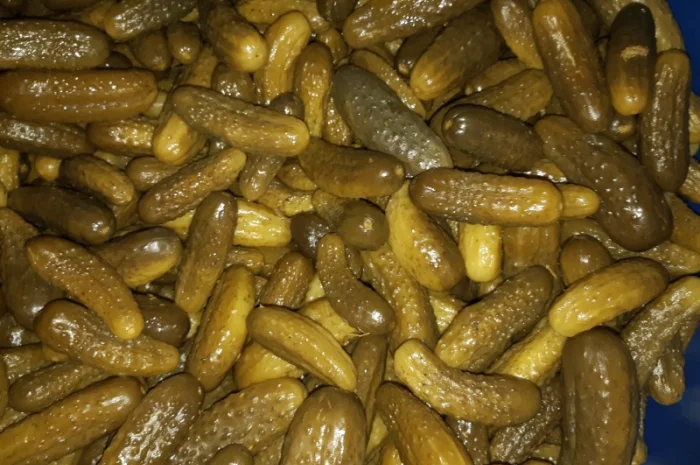 Грунтовые квашеные огурцы- фото № 3