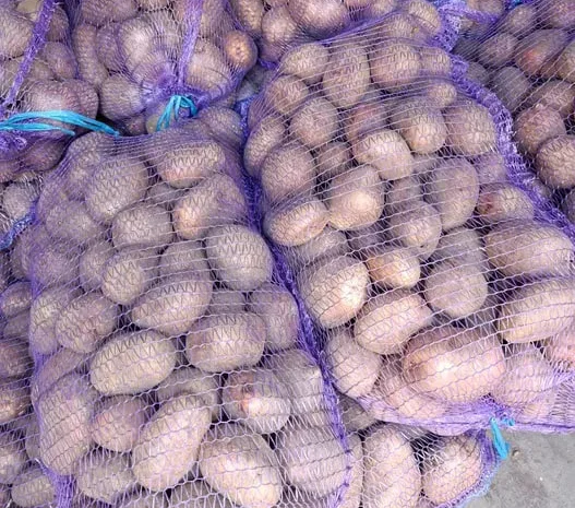 Продажа крупной товарной картошки – 10 тонн- фото № 1