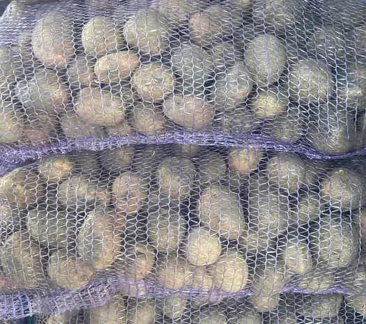 Продається картопля велика та насіннєва сорту Гранада- фото № 1