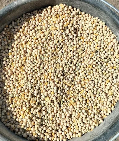 Кормовий горох.отходи гороха.відходи гороха- фото № 1