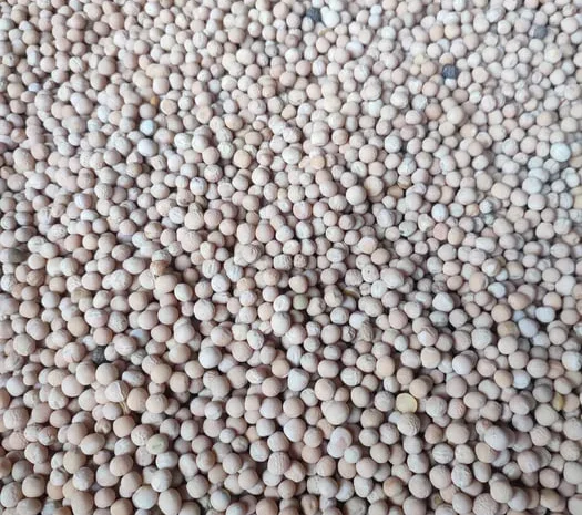 Горох для корму- фото № 1