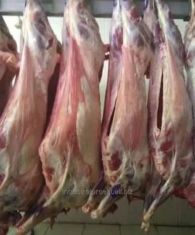 Продается свежая баранина- фото № 1