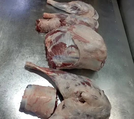 Свежие мясо молочного козленка и баранина- фото № 1