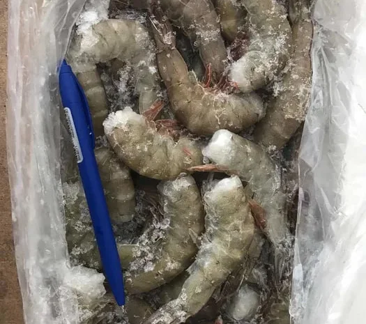 Тигрова Креветка морожена- фото № 1