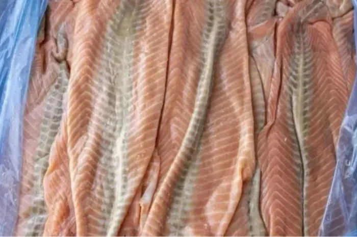 Мясо лосося свіжоморожене- фото № 1