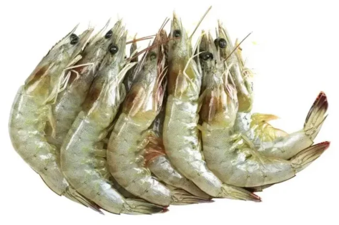 Креветка 30/40 40/50 50/60 60/70 90/120- фото № 1