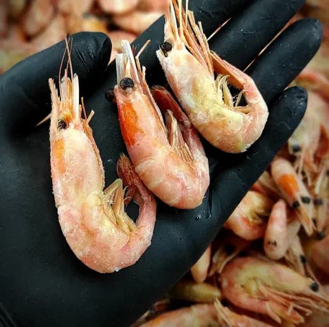 Креветка варено/морожена 90/120- фото № 1