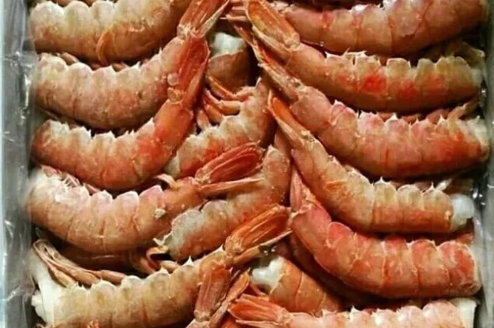 Лангустини, креветки , мідіі, кальмар- фото № 1