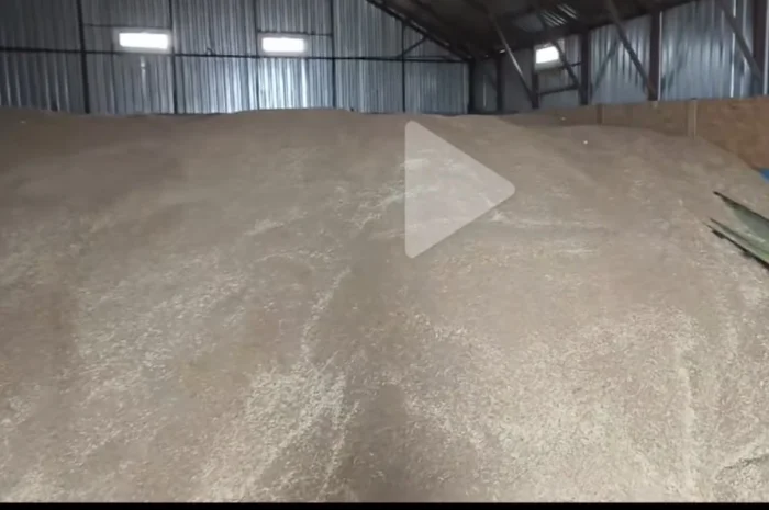 Продається пшениця 2025 року- фото № 1