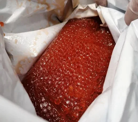 Красная Икра Кета Горбуша развес ОПТ- фото № 1