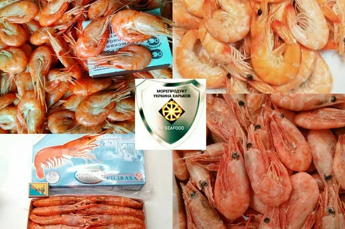 Креветки черноморские, атлантические, индийские- фото № 1