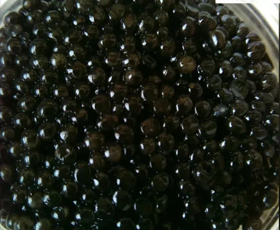 НАСТОЯЩАЯ чёрная икра морской осётр, белуга- фото № 1