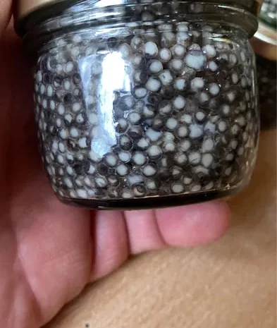 НАТУРАЛЬНАЯ черная икра- фото № 1