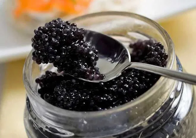 Икра ікра чорна черная веслоноса,лосося красная- фото № 1