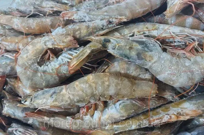 Креветка Ваннамей 70\80, с\м, з гол, в панцирі- фото № 1