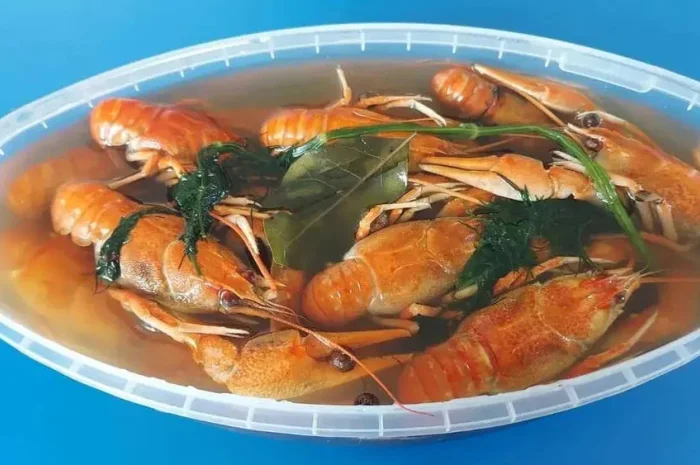 Раки варені морожені 500грам (лодочка)- фото № 1