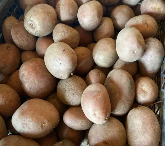 Продам картошку посадка- фото № 1