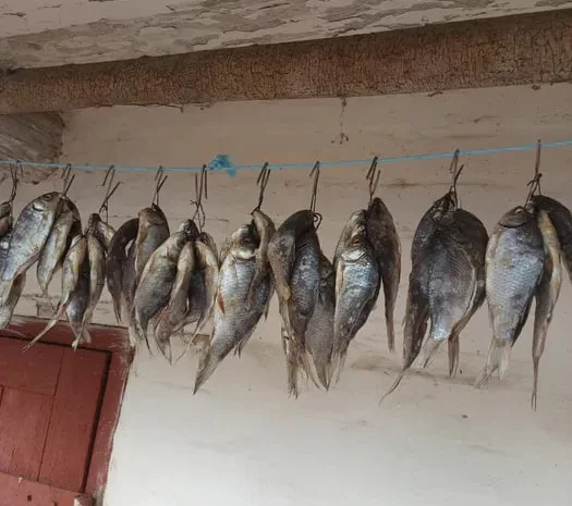 Вяляна Таранька Карась- фото № 1