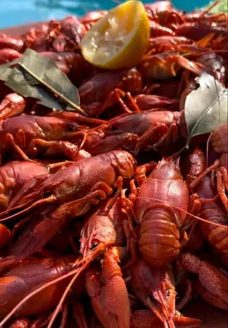 Доставка раків в Запоріжжі- фото № 1