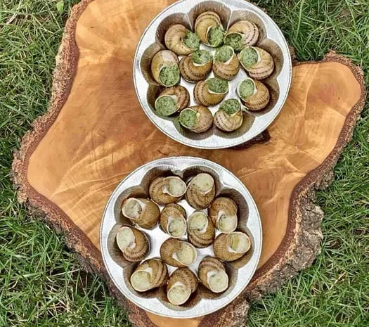 Равлик Смачне ,корисне задоволення- фото № 1