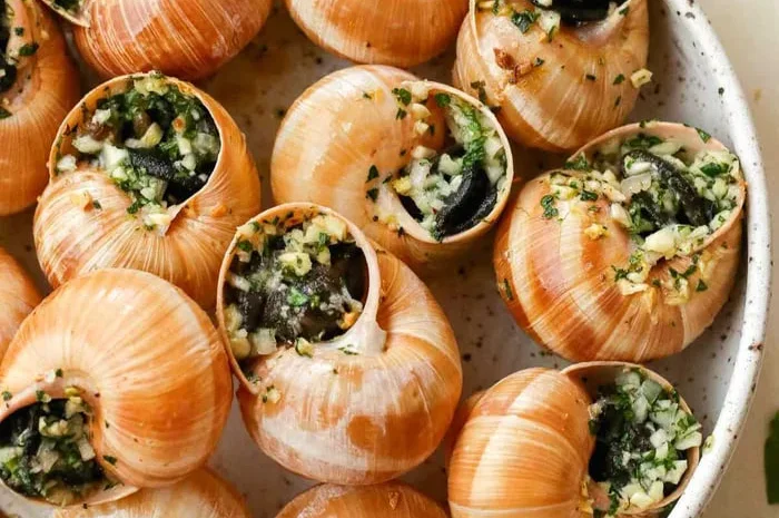 Равлики виноградні Фаршировані фасуванням по 1кг- фото № 1