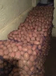 Домашний картофель разных сортов- фото № 1