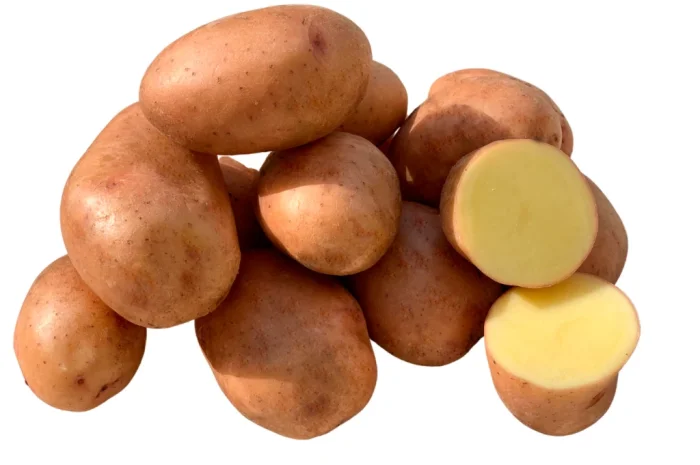 Насиннєва картопля Мирослава (1 репродукція) - продажа- фото № 1