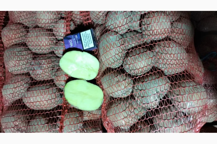 Картофель товарный оптом- фото № 1