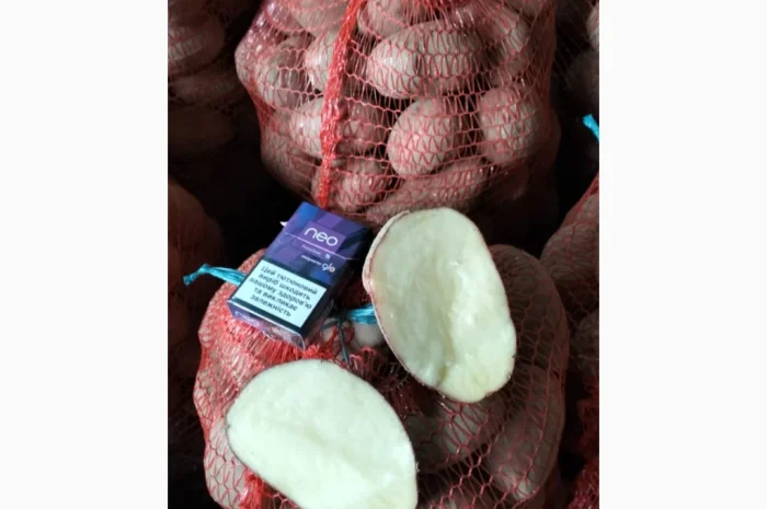 Картофель товарный оптом- фото № 2