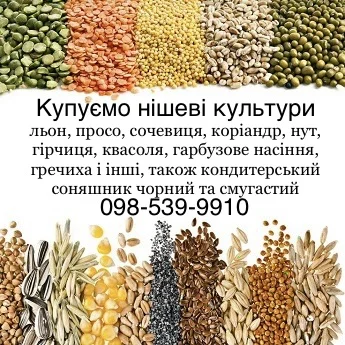 Закуповуємо всі нішеві культури та Кондитерський- фото № 1