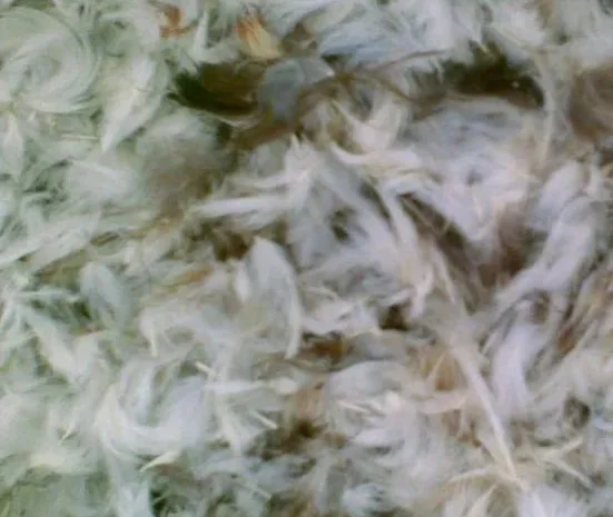 Продам пух-перо птиці б/у- фото № 1