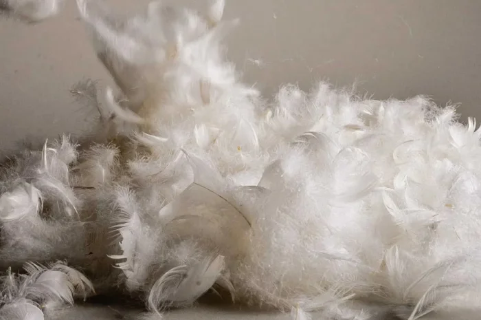 Пір'я та пух. Перини та подушки.- фото № 1