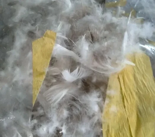 Пір'я подушки перини б/у- фото № 1