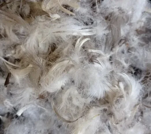 Пух-перо гусей- фото № 1