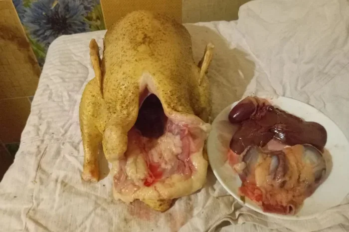 Продам мясо утки- фото № 1