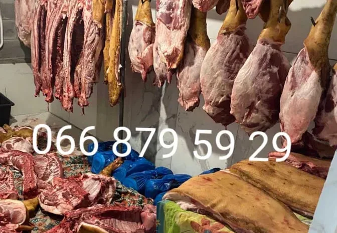 Продам мясо свинини туші свиней- фото № 1