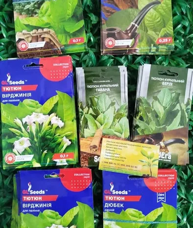 Семена табака курительного Вирджиния Дюбек- фото № 1