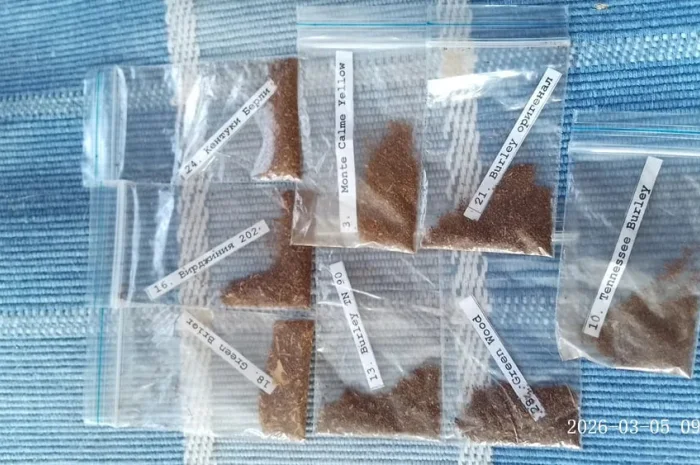 Семена табака от Табакевича- фото № 1