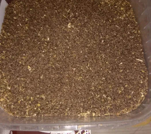 Продам семена табака- фото № 1