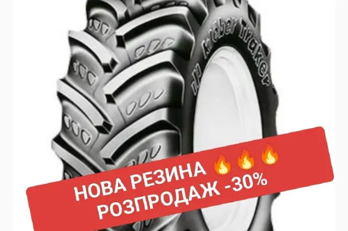 Шина- фото № 1