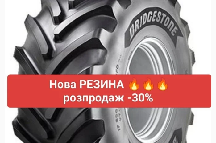 Шина- фото № 1