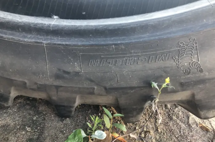 Шины 320/90R54 (12.4R54) Michelin для обприскувачей (пара)- фото № 6