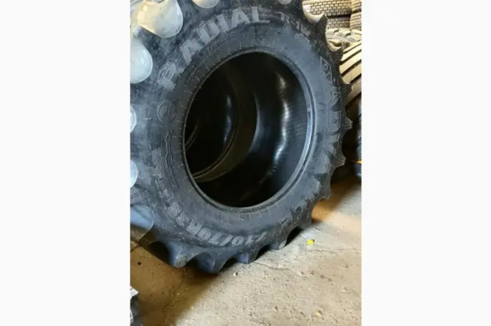 Шина 710/70R38 ADVANCE R-1W TL 178D- фото № 2